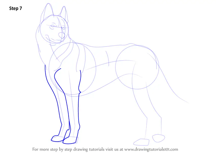 How To Draw A Realistic Husky - alter playground