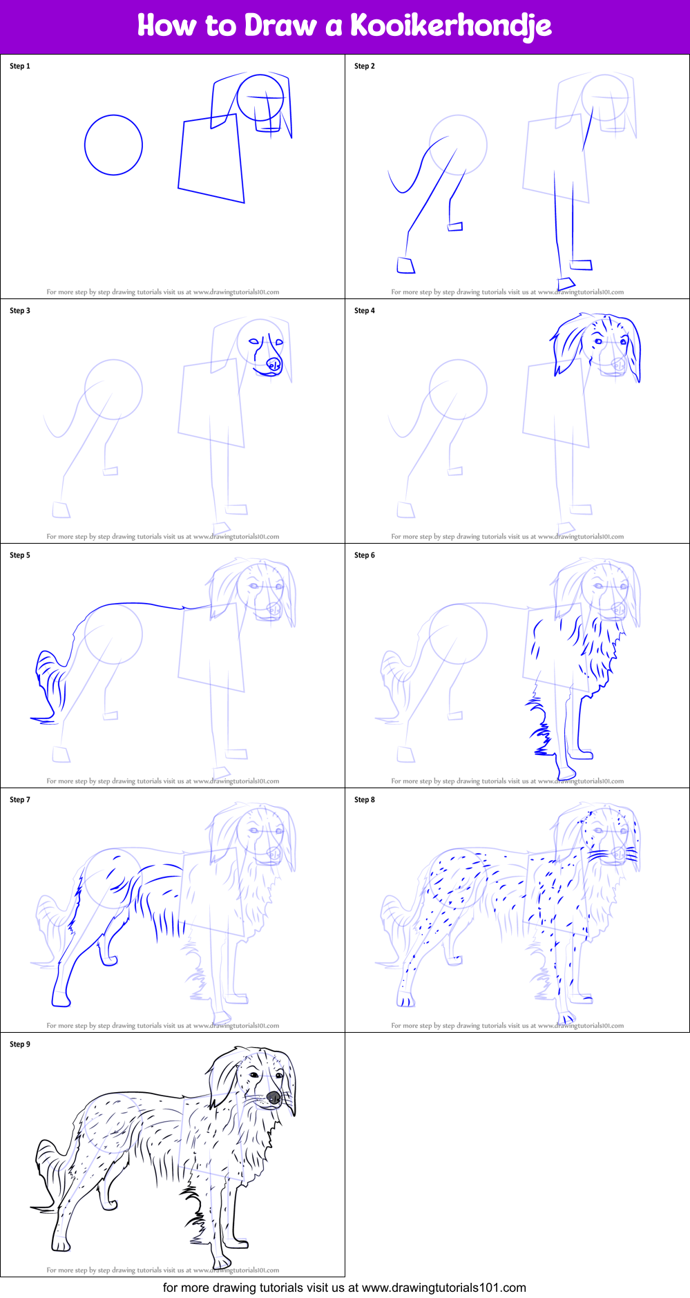 How to Draw a Kooikerhondje Printable Step by Step