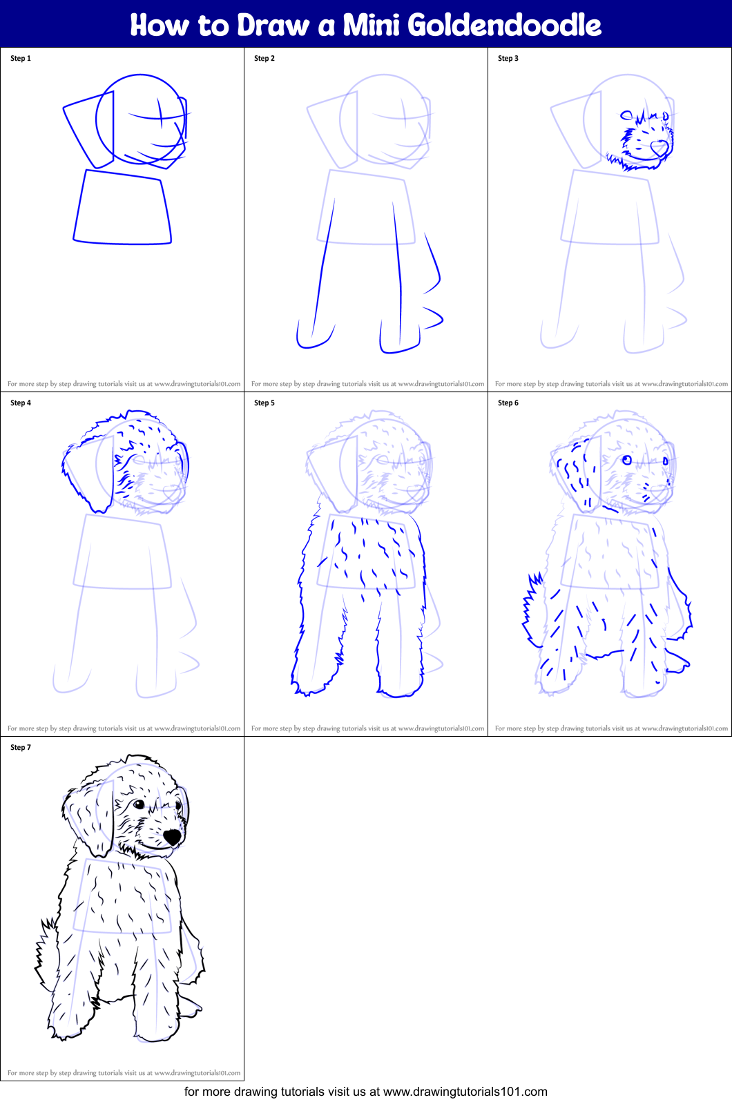 How to Draw a Mini Goldendoodle printable step by step drawing sheet