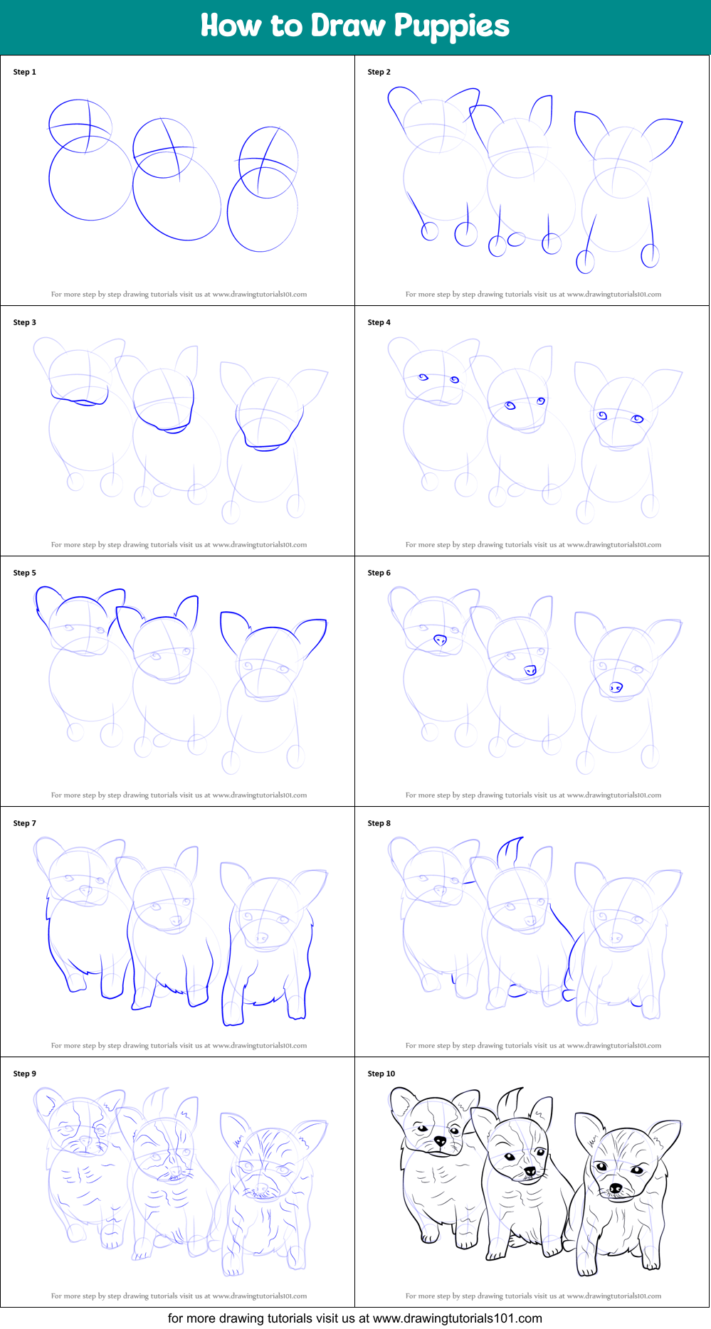 How to Draw Puppies Printable Step by Step