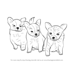How to Draw Puppies