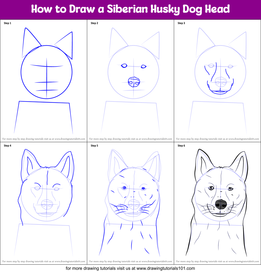 How To Draw A Siberian Husky Dog Head Printable Step By Step