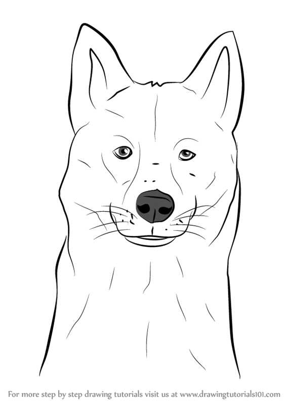 7310 Husky Sketch Images Stock Photos  Vectors  Shutterstock