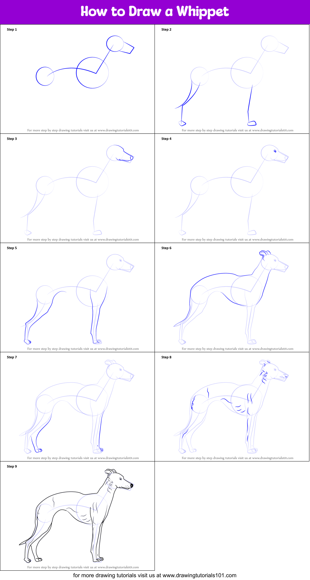 How to Draw a Whippet Printable Step by Step