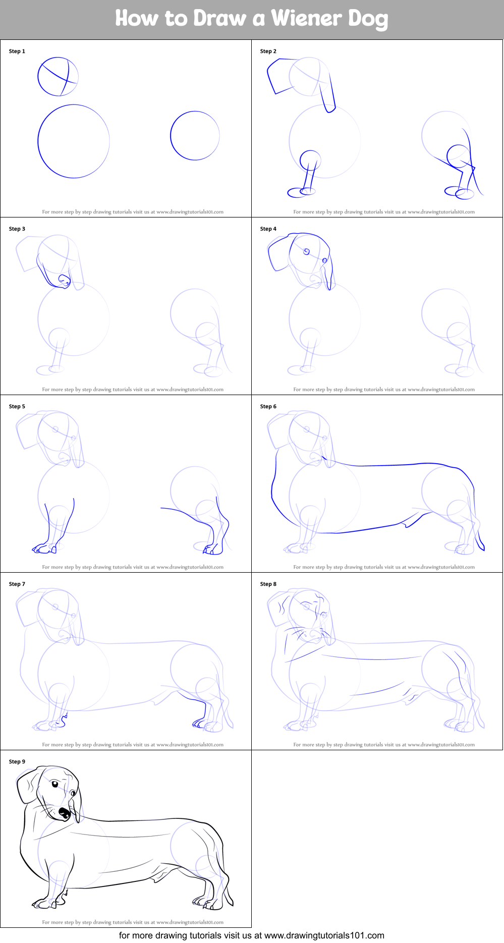 How to Draw a Wiener Dog Printable Step by Step