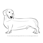 How to Draw a Wiener Dog