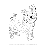 How to Draw a Yorkie Dog