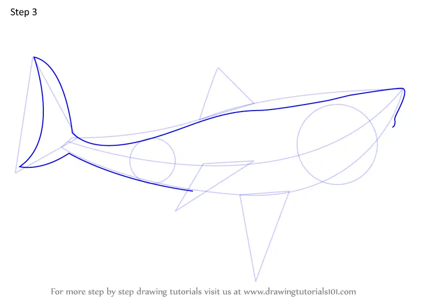 Learn How to Draw The Meg aka Megalodon (Extinct Animals) Step by Step