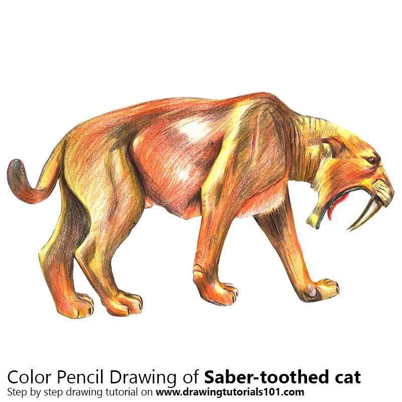 Saber-toothed cat Color Pencil Drawing