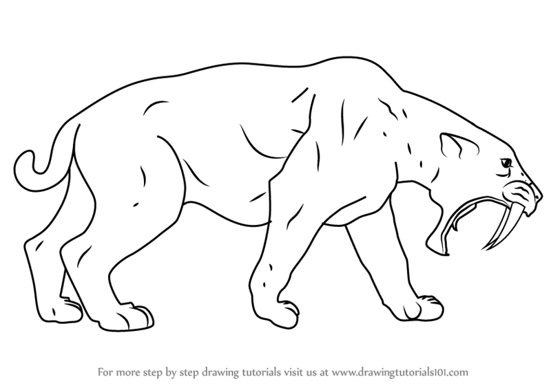 saber toothed cat coloring pages - photo #45