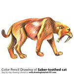 How to Draw a Saber-toothed cat