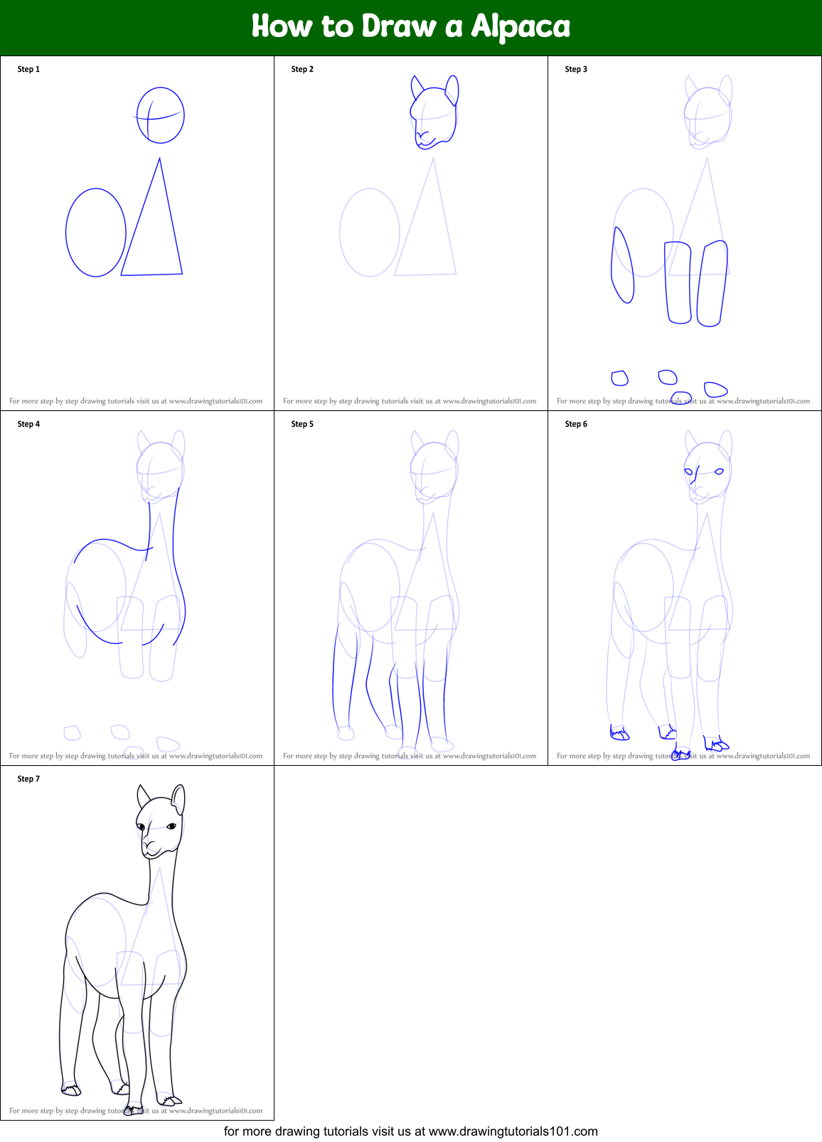 How to Draw a Alpaca printable step by step drawing sheet