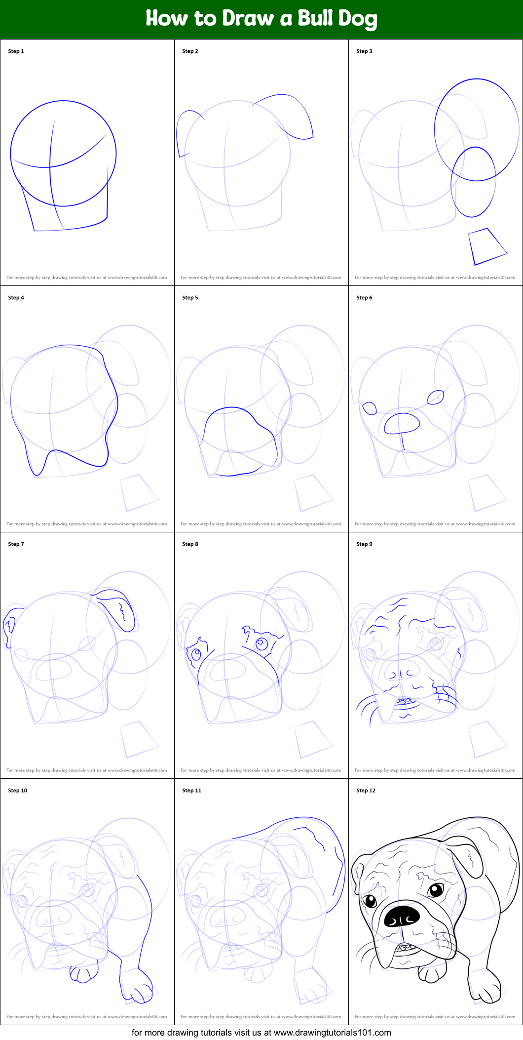 How to Draw a Bull Dog Printable Step by Step