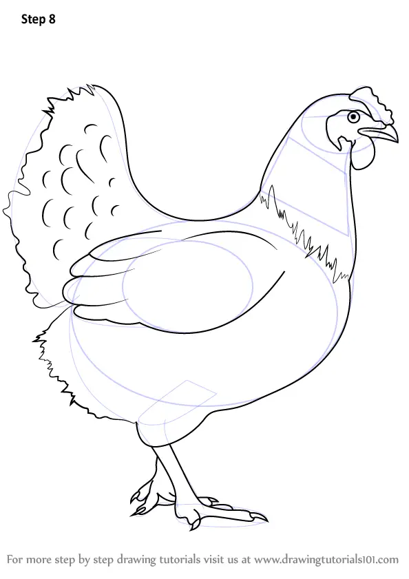 Learn How to Draw a Chicken (Farm Animals) Step by Step : Drawing Tutorials