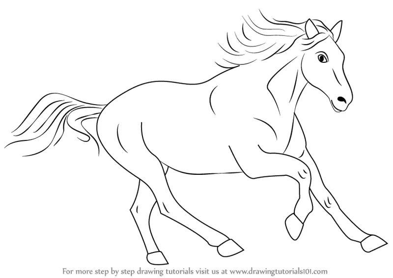 How to Draw a Cleveland Bay Horse (Farm Animals) Step by Step ...
