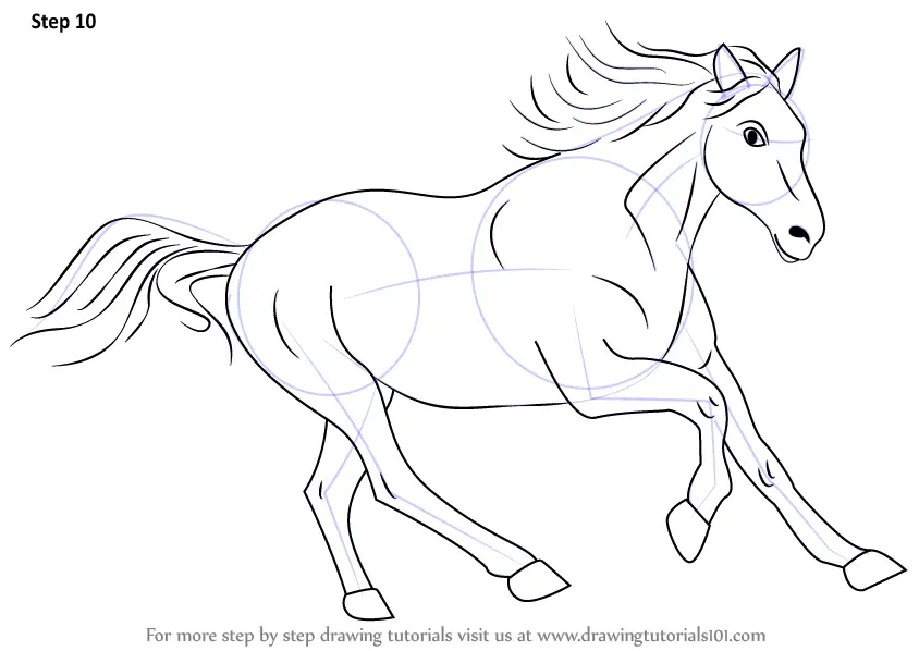 Learn How To Draw A Cleveland Bay Horse (Farm Animals) Step By Step :  Drawing Tutorials
