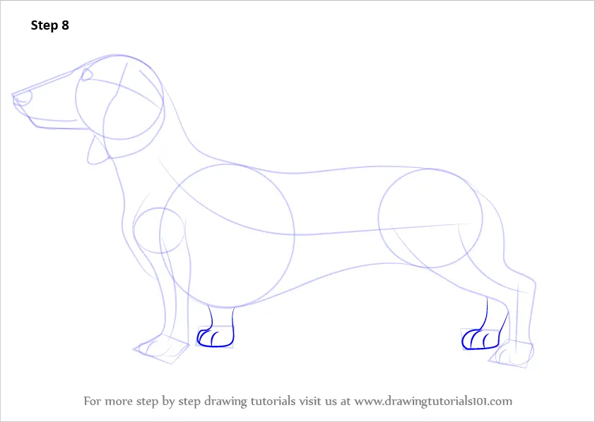 Learn How to Draw a Dachshund (Farm Animals) Step by Step ...
