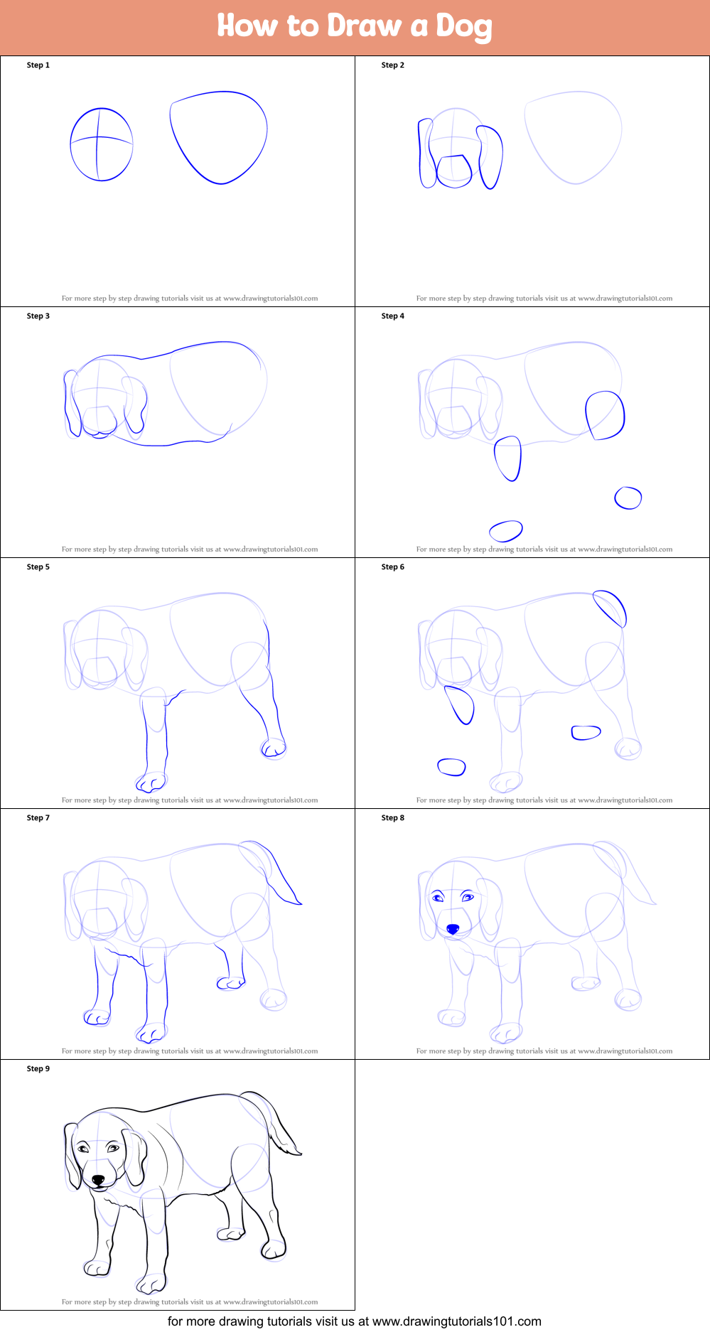 How to Draw a Dog printable step by step drawing sheet ...