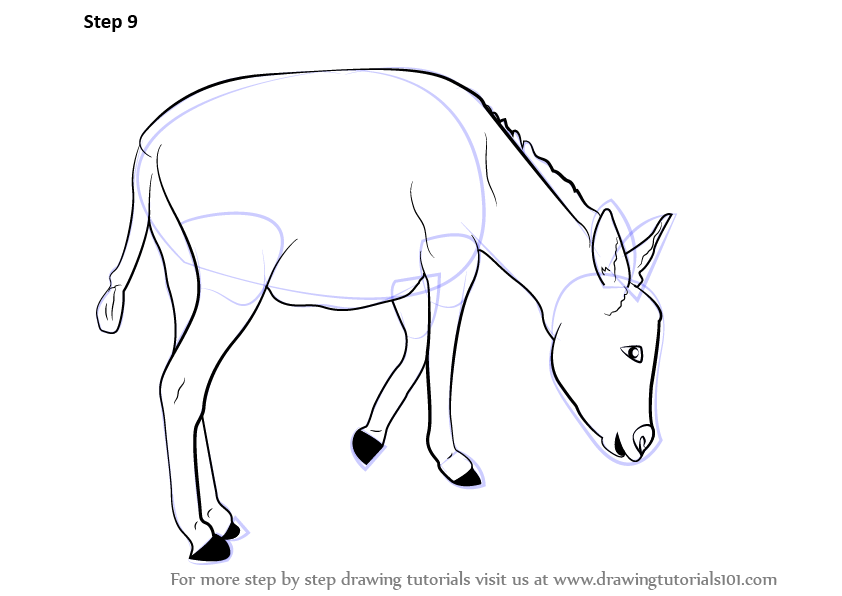 How to Draw a Donkey (Farm Animals) Step by Step | DrawingTutorials101.com