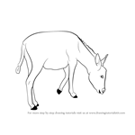 How to Draw a Donkey