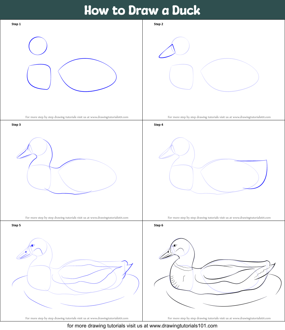 How to Draw a Duck printable step by step drawing sheet