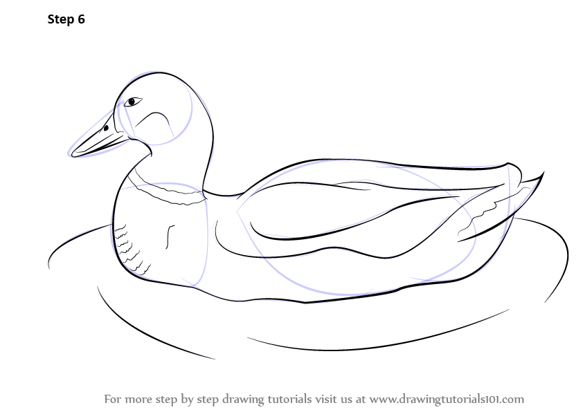 Cute Duck On A White Background Coloring Pages Drawing Outline Sketch  Vector Duck Cartoon Drawing Duck Cartoon Outline Duck Cartoon Sketch PNG  and Vector with Transparent Background for Free Download