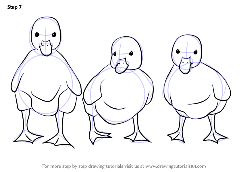 Learn How to Draw Ducklings Farm Animals Step by Step 