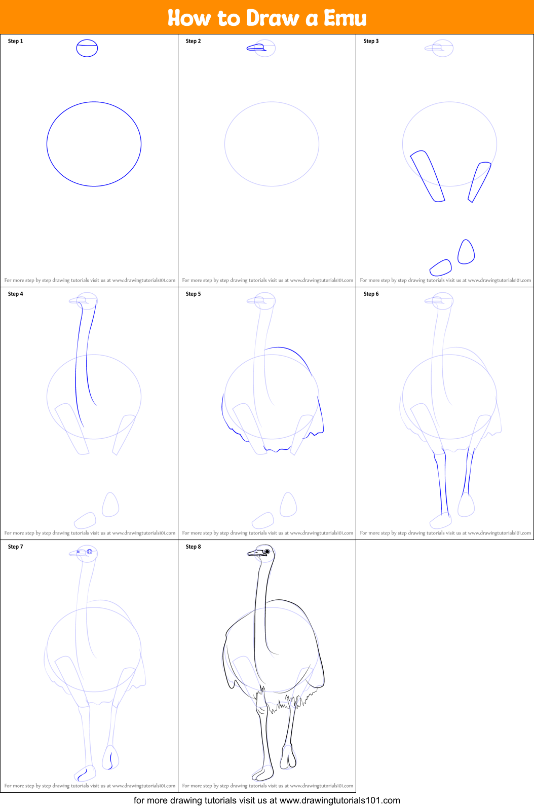 How to Draw a Emu printable step by step drawing sheet
