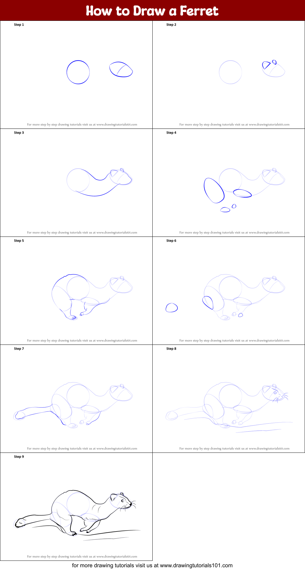 How to Draw a Ferret Printable Step by Step