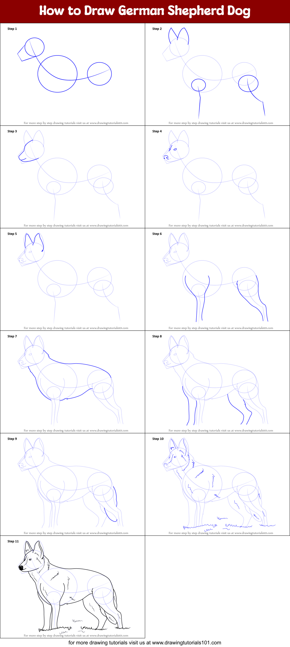 How to Draw German Shepherd Dog printable step by step drawing sheet