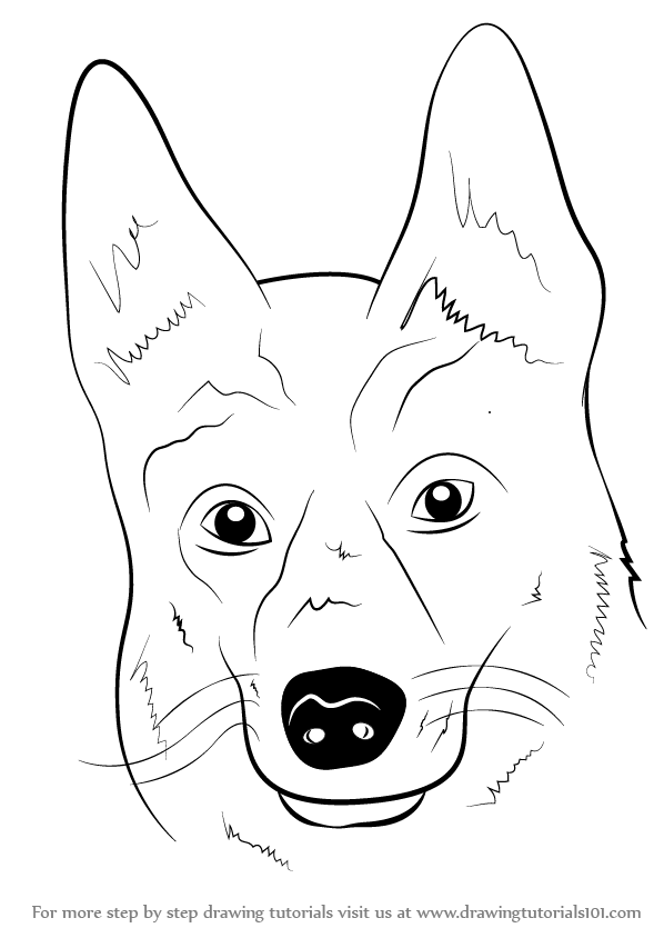 Learn How To Draw German Shepherd Dog Face Farm Animals Step By