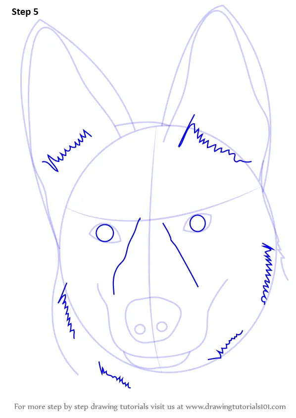 Learn How to Draw German Shepherd Dog Face Farm Animals 