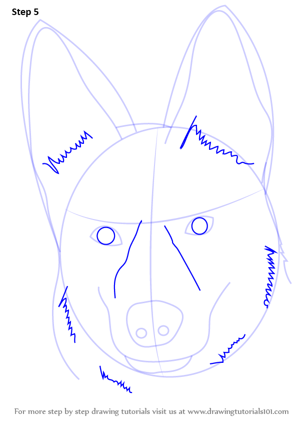 Learn How to Draw German Shepherd Dog Face (Farm Animals) Step by Step