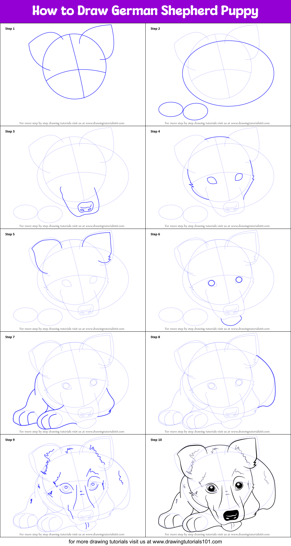 How to Draw German Shepherd Puppy Printable Step by Step