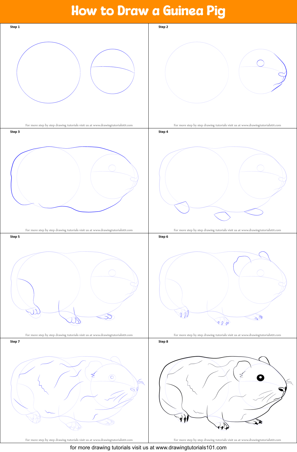 How to Draw a Guinea Pig Printable Step by Step