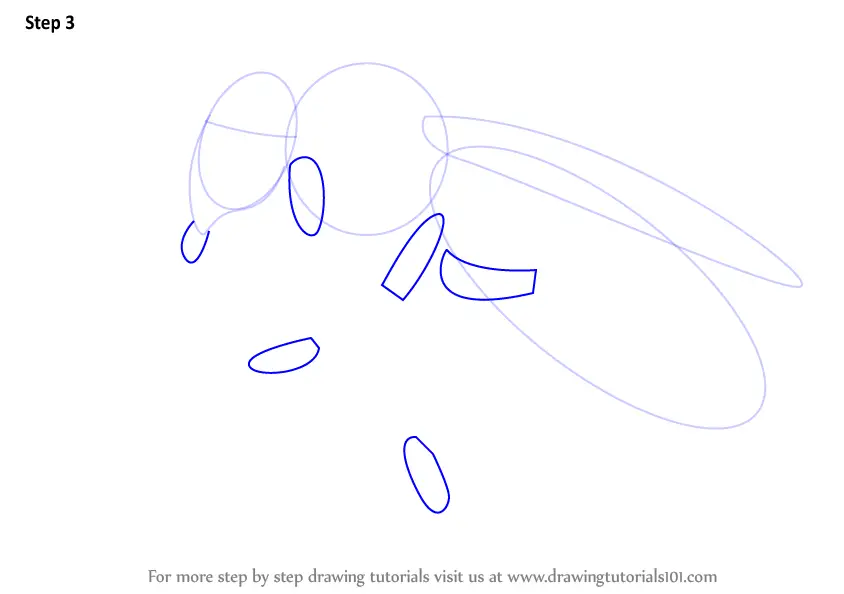 Learn How to Draw a Honey Bee (Farm Animals) Step by Step : Drawing