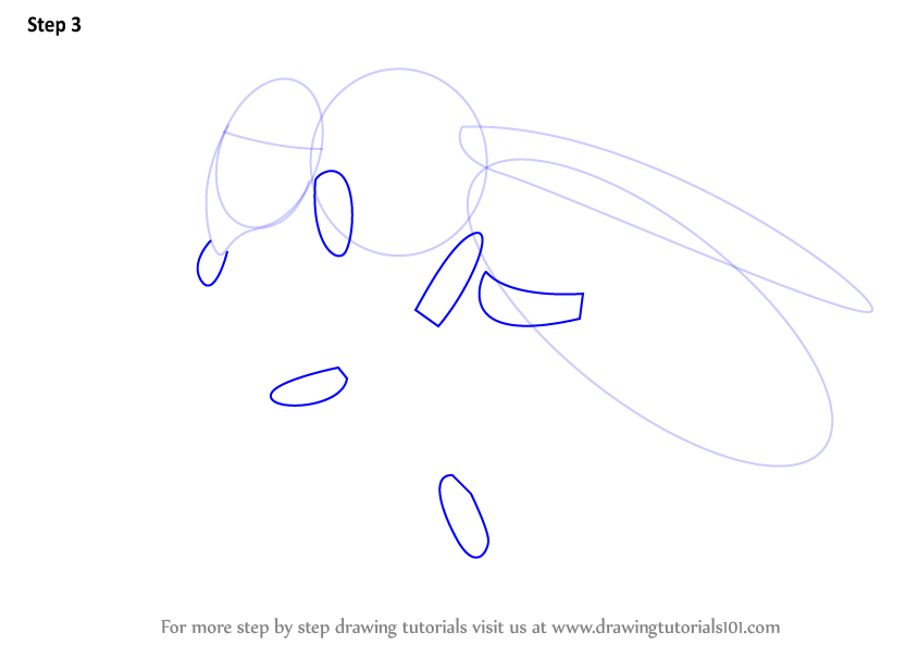 Learn How to Draw a Honey Bee (Farm Animals) Step by Step : Drawing