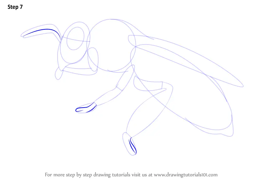 Bee Drawing Vector Images over 17000