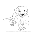 How to Draw a Labrador Puppy
