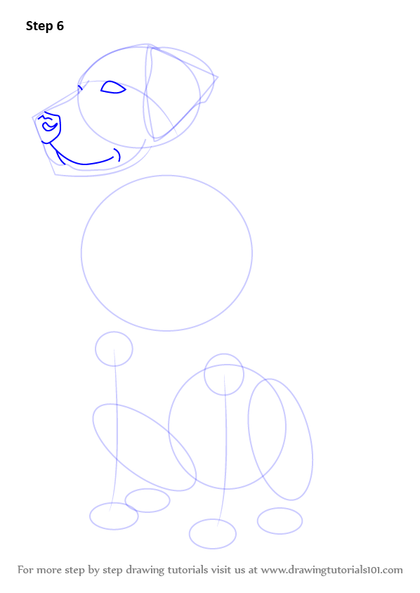 How to Draw a Labrador (Farm Animals) Step by Step
