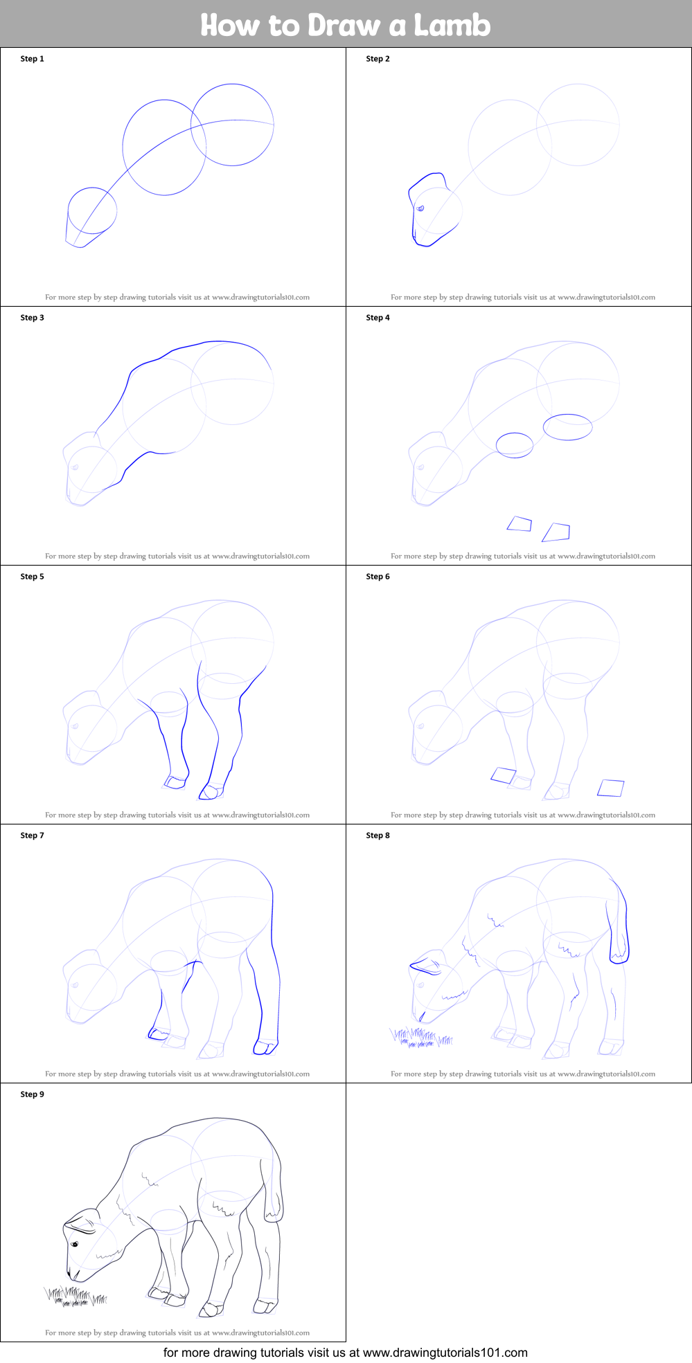 How to Draw a Lamb Printable Step by Step