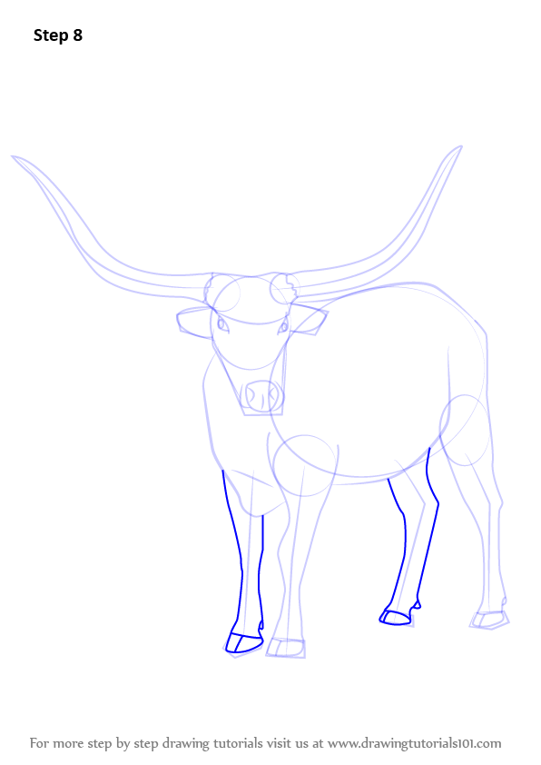 How to Draw a Longhorn Cattle (Farm Animals) Step by
