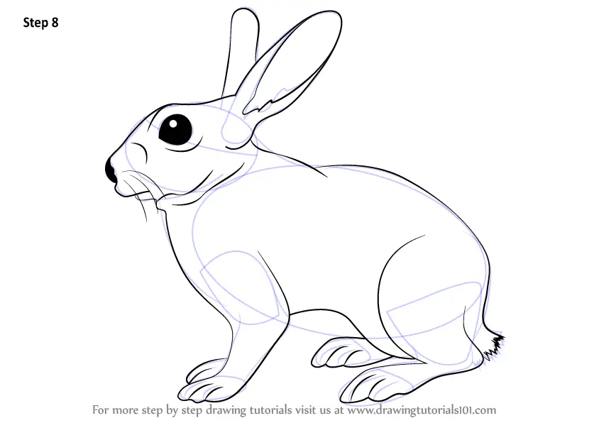 How to Draw a Rabbit Face  Easy Drawing Art