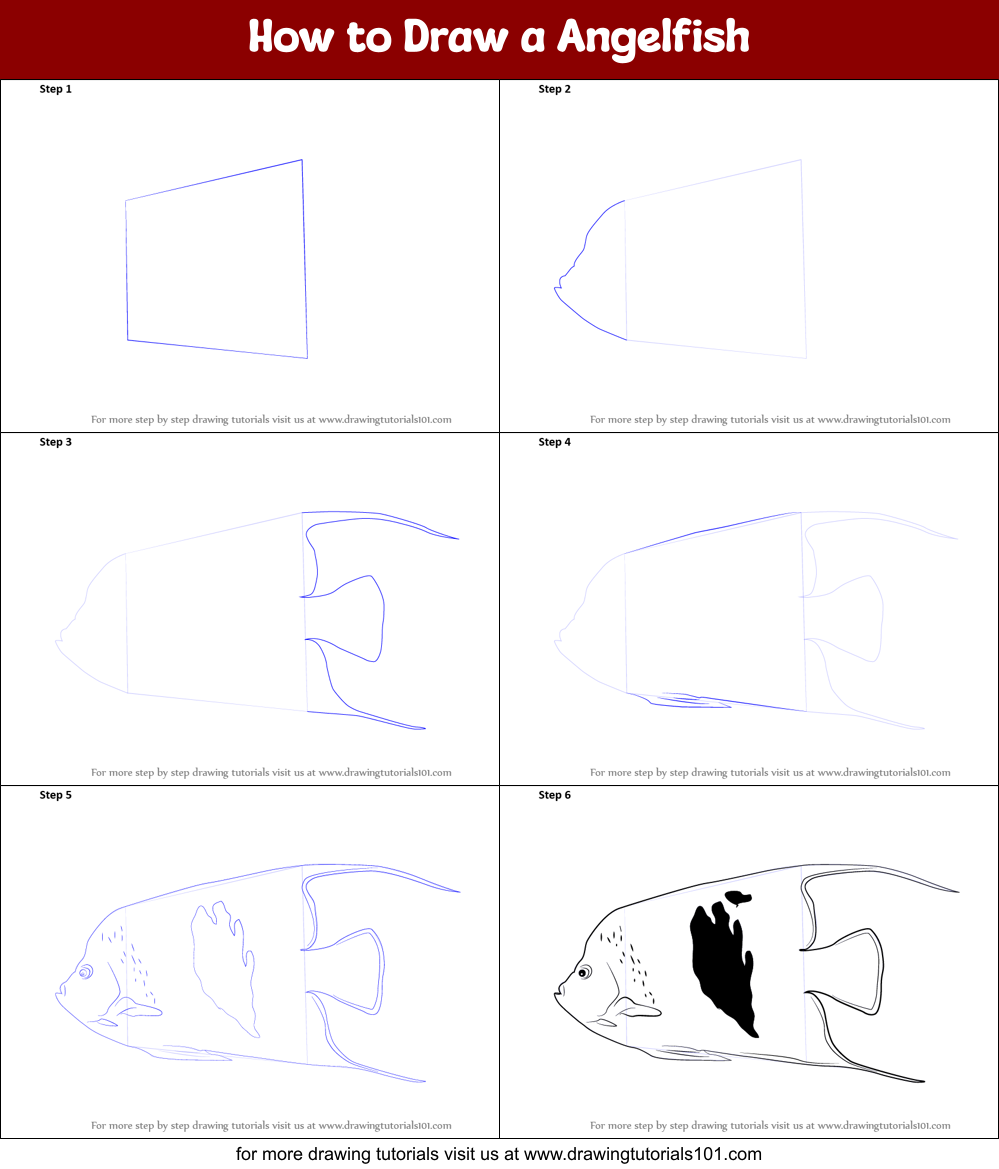 How to Draw a Angelfish Printable Step by Step