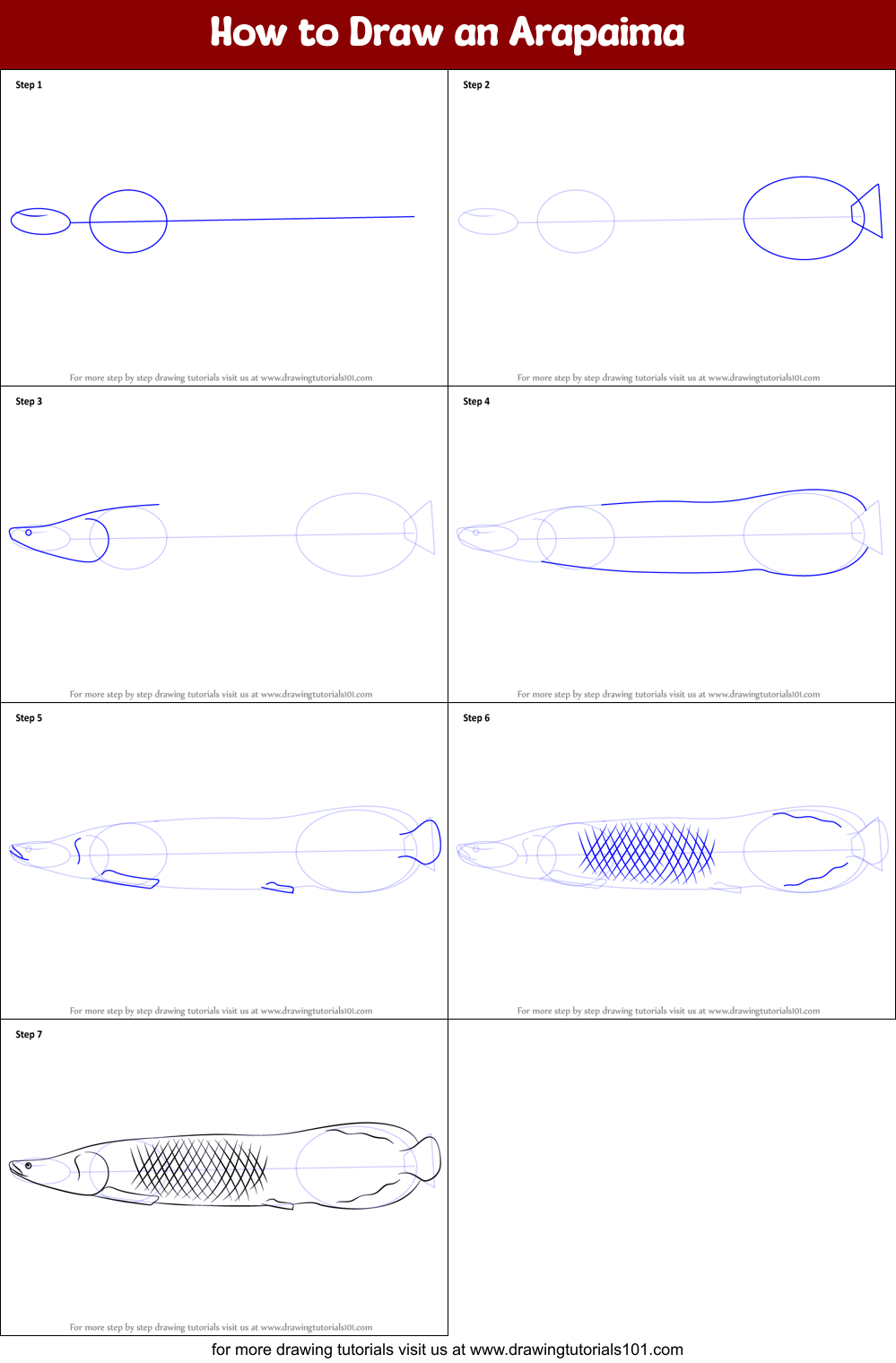 How to Draw an Arapaima Printable Step by Step