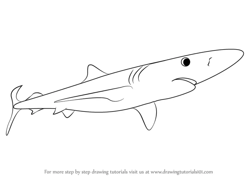 Download Learn How to Draw a Blue Shark (Fishes) Step by Step : Drawing Tutorials