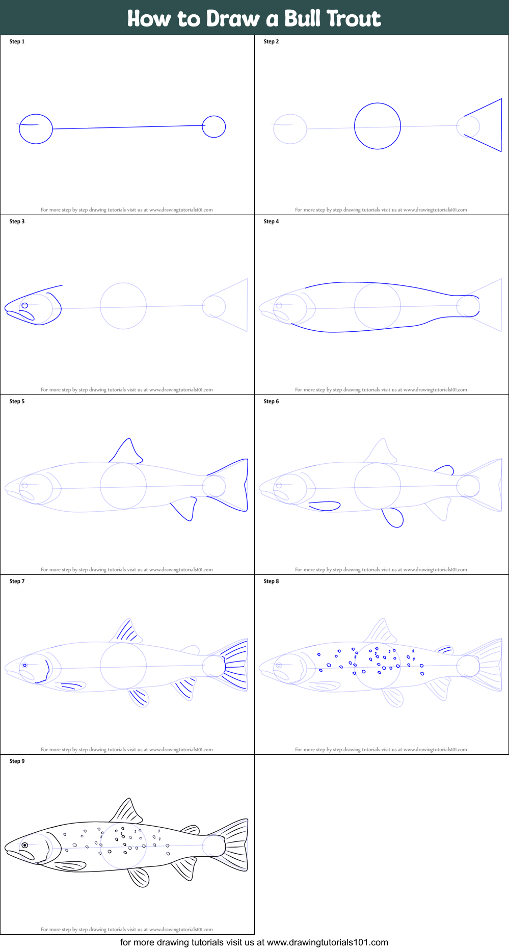 How to Draw a Bull Trout Printable Step by Step