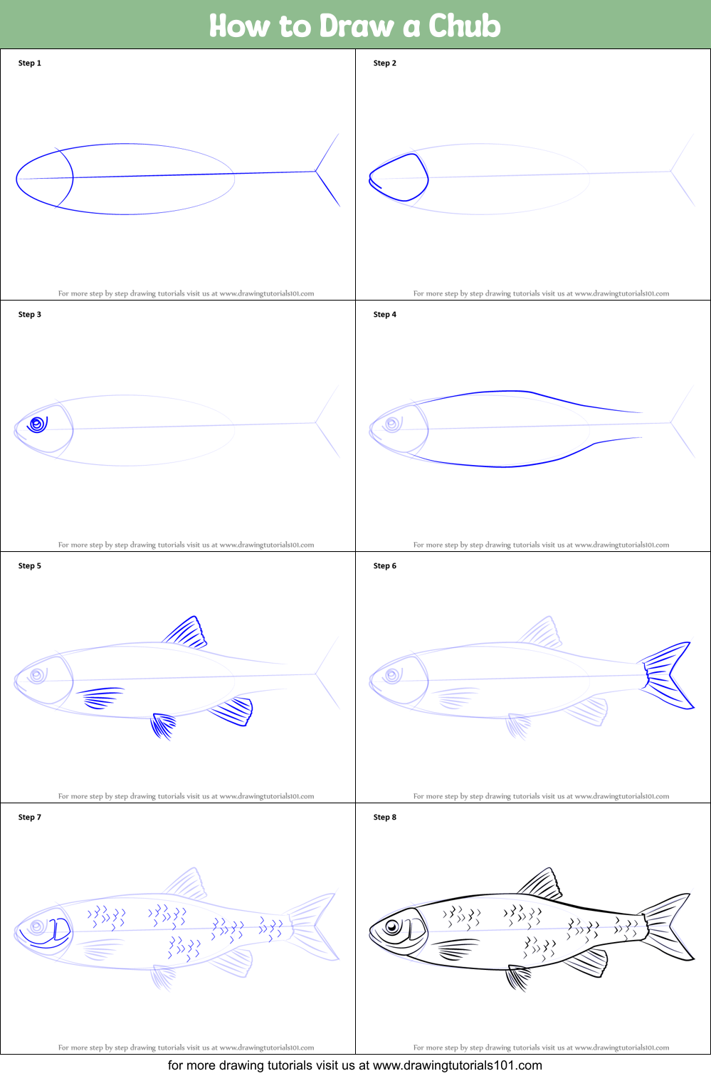How to Draw a Chub Printable Step by Step
