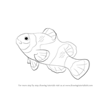 How to Draw a Clownfish