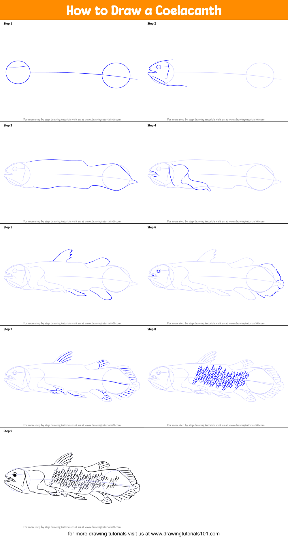 How to Draw a Coelacanth Printable Step by Step